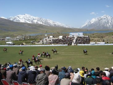 SHANDUR POLO