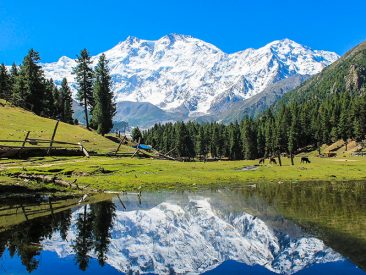 fairy-meadows-9